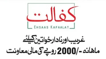 Ehsaas Program 786 Online Registration Check Status