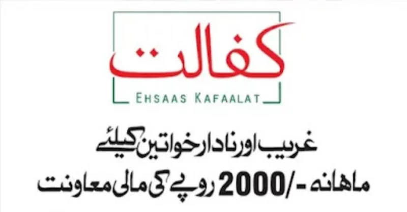 Ehsaas Program 786 Online Registration Check Status
