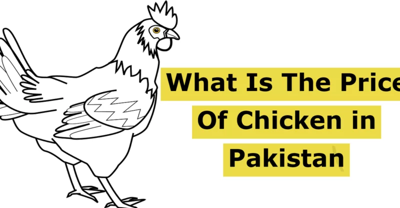 1 KG Chicken Price Today In Pakistan 2023